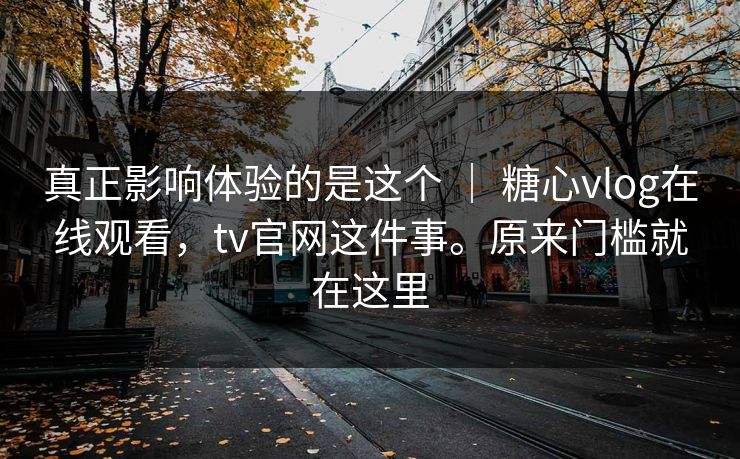 真正影响体验的是这个 ｜ 糖心vlog在线观看，tv官网这件事。原来门槛就在这里