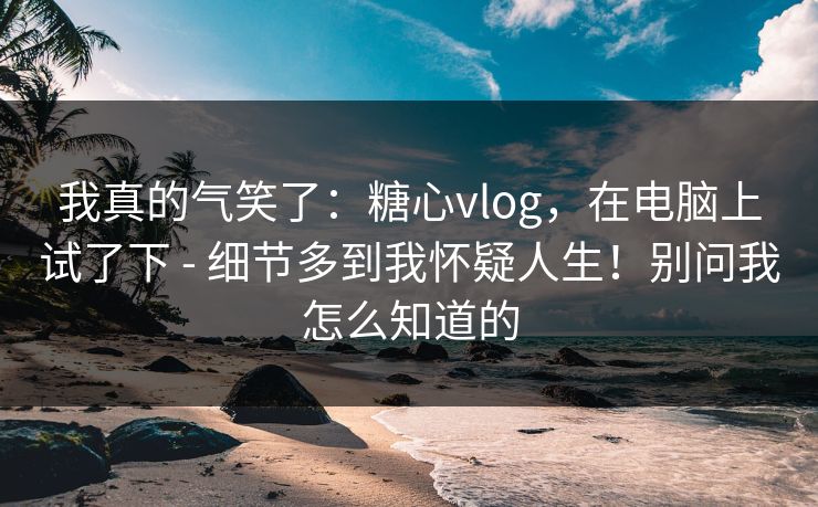 我真的气笑了:糖心vlog,在电脑上试了下 - 细节多到我怀疑人生!别问我怎么知道的